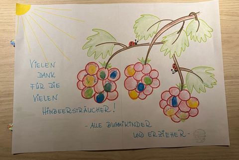 Gemaltes Dankeschön-Bild: Vielen Dank für die vielen Himbeersträucher!