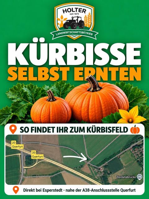 Karte: So findet ihr zum Kürbisfeld, direkt bei Esperstedt nahe der A38-Anschlussstelle Querfurt