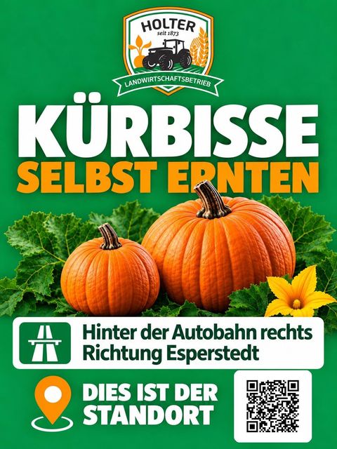 Schild am Feld: Kürbisse selbst ernten, hinter der Autobahn rechts Richtung Esperstedt