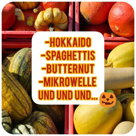 Kürbissorten: Hokkaido, Spaghettis, Butternut, Mikrowelle und und und